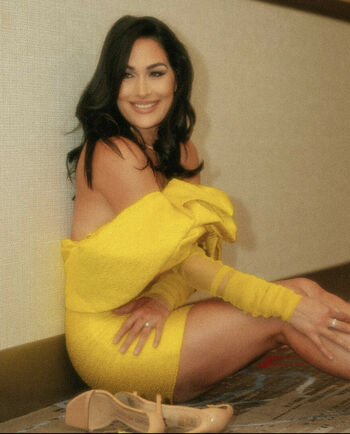 The Bella Twins