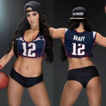 The Bella Twins