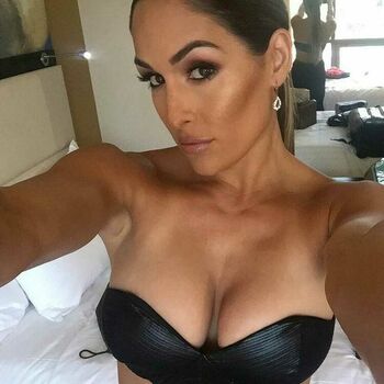 The Bella Twins