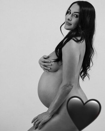 The Bella Twins