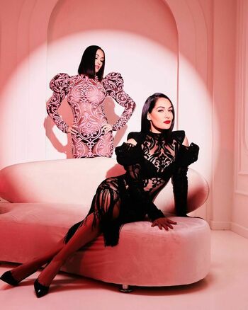 The Bella Twins