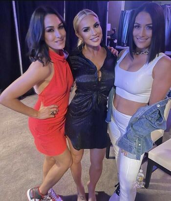 The Bella Twins