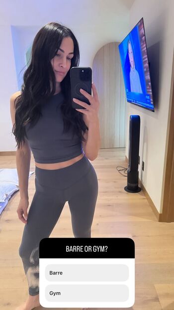 The Bella Twins