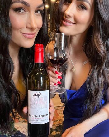The Bella Twins