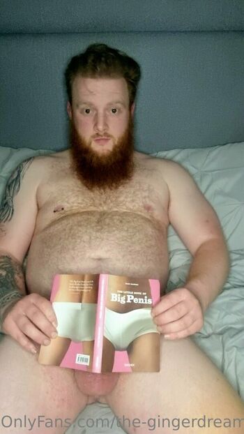 the-gingerdreamsicle