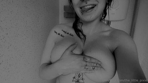 the_little_pixie