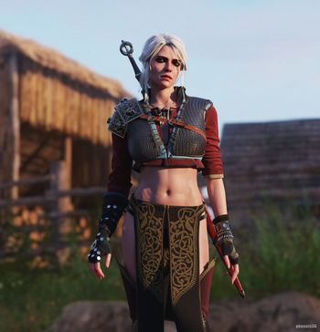 The Witcher