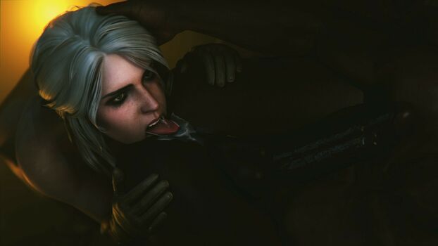 The Witcher