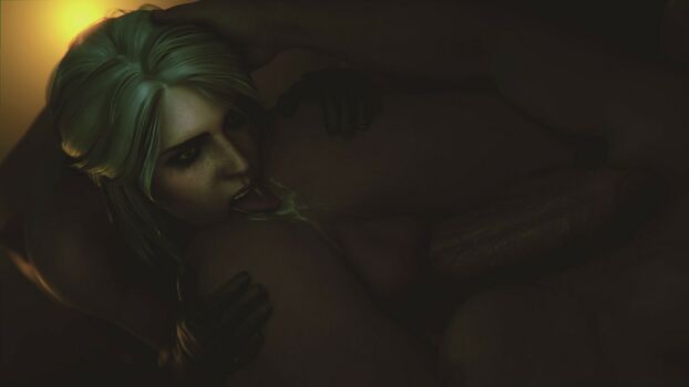 The Witcher