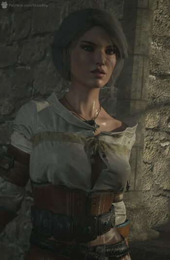 The Witcher