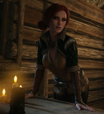 The Witcher