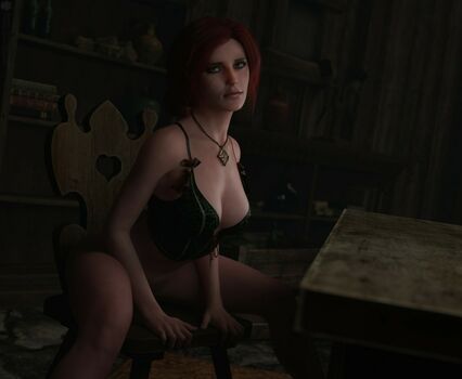 The Witcher