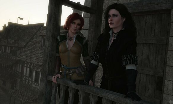 The Witcher