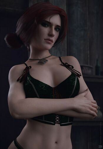 The Witcher