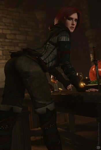 The Witcher