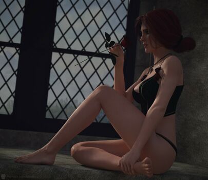 The Witcher