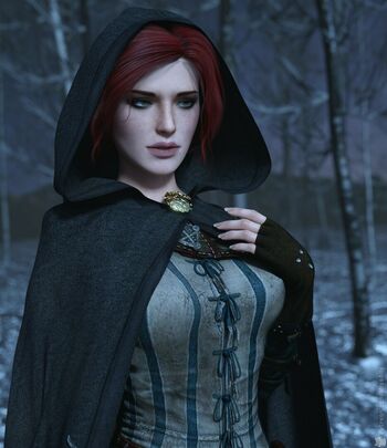 The Witcher