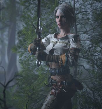 The Witcher