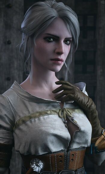 The Witcher