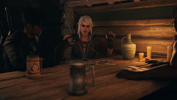 The Witcher