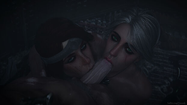 The Witcher