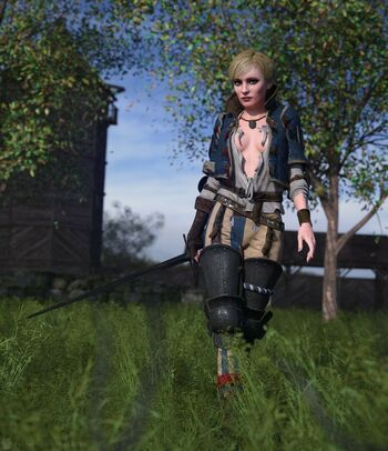The Witcher