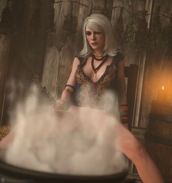 The Witcher
