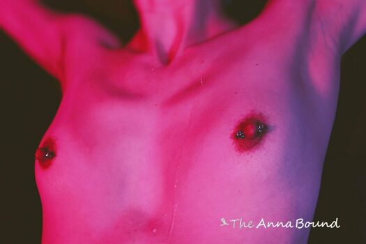 theannabound
