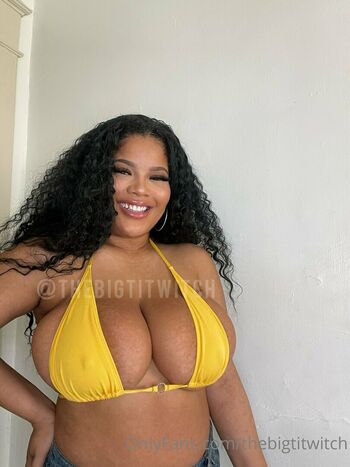 thebigtitwitch