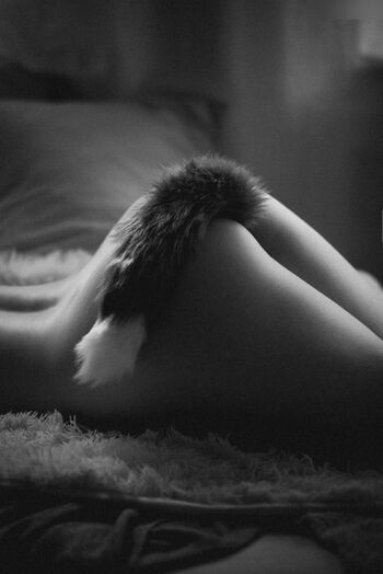 Thecurvy.one