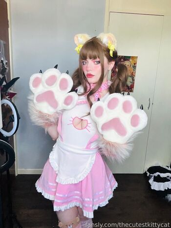 thecutestkittycat
