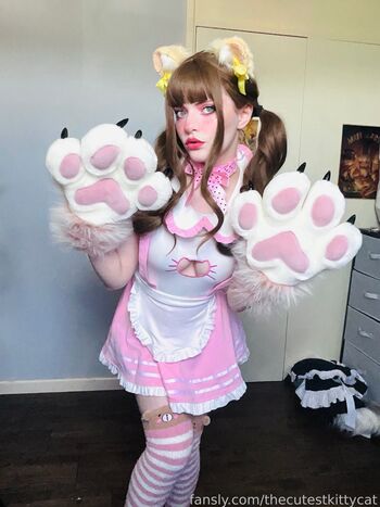 thecutestkittycat