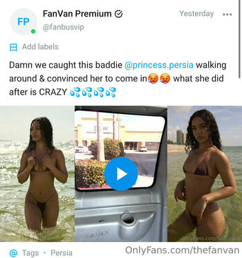 thefanvan