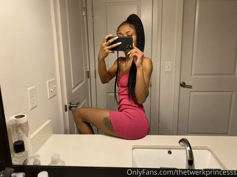 thelittprincess