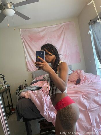 thelittprincess