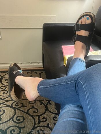 theperfectmistress_free