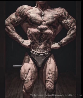 therealvanillagorilla