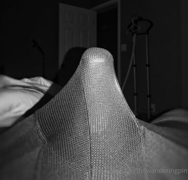 thewanderingpin