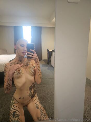 tigerbabex