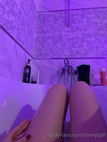 tinnysofi