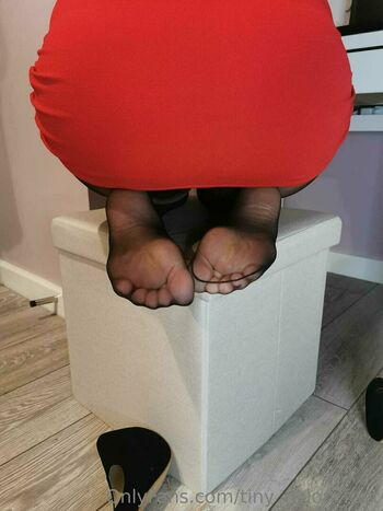 tiny_nylon_feet
