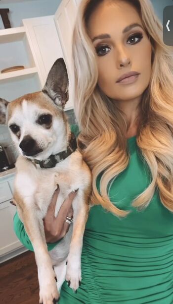 Tomi Lahren