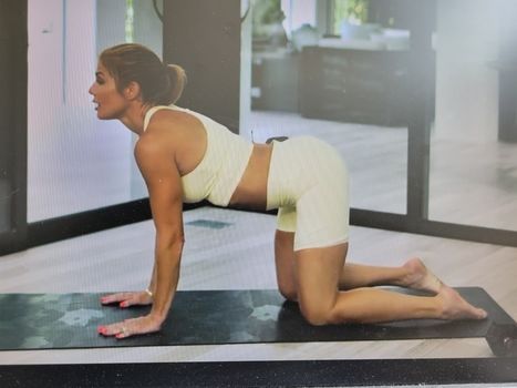 Torrie Wilson