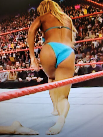Torrie Wilson