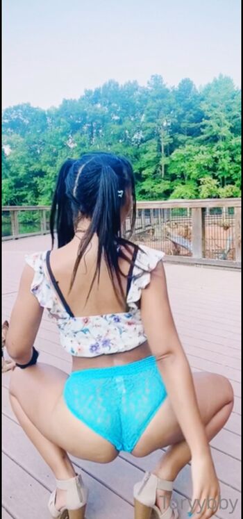 Toryybby