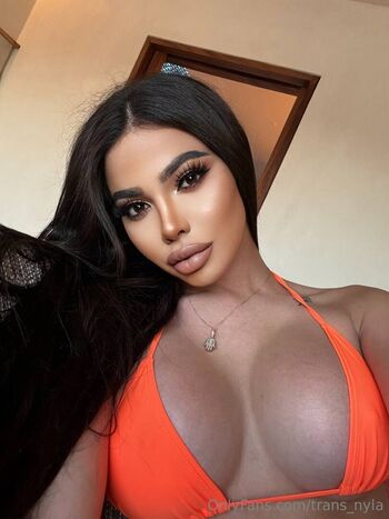 trans_nyla