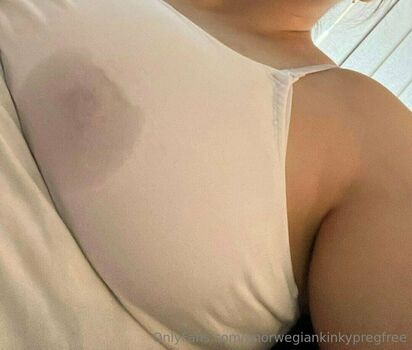 unorwegiankinkypregfree