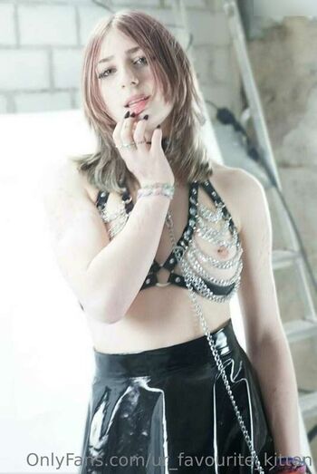ur_favorite_kitten