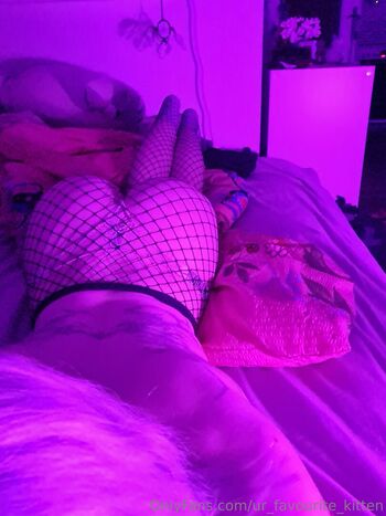 ur_favourite_kitten