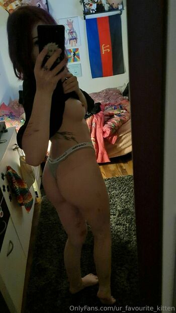 ur_favourite_kitten